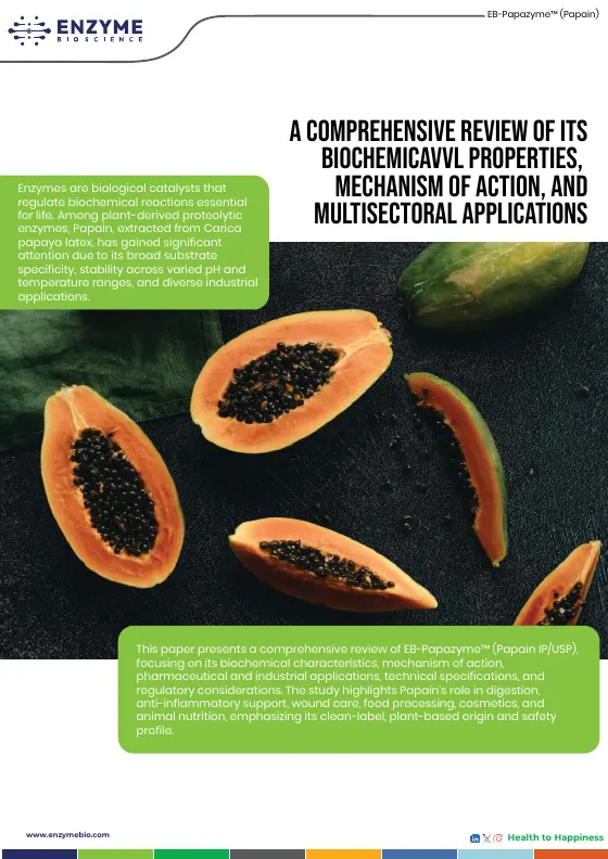 Cover of the EB-Papazyme™ literature